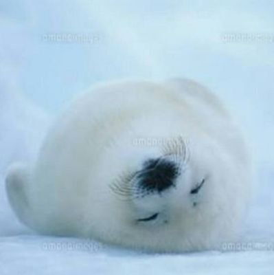 エレストのガチャの不条理さを訴えるため、ガチャの結果をのせてます。 あとは、気のおもむくままに競馬やら音楽やら適当につぶやいてます。
「見たよ!」の代わりにいいね押してます。
無言フォロー、リツイートご自由にどうぞ!
星屑十字軍エレストチームメンバー募集中!
あとウマ娘はじめました(763613185)