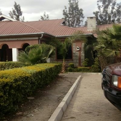 James_Yatich's profile picture. 