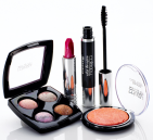 Your source for affordable and extra fashionable European health standard Makeup!