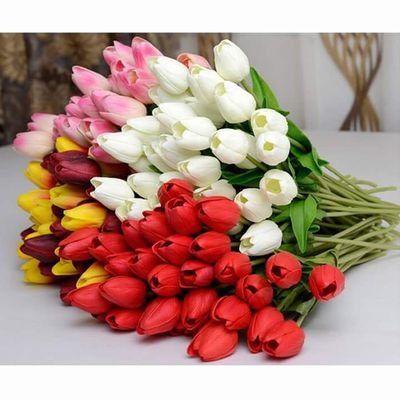 chaimabendalo's profile picture. Nancy  ajram