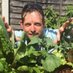 Matthew's G Harvest (@msgharvest) Twitter profile photo Matthew's G Harvest (@msgharvest) Twitter profile photo