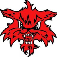 Bobcat volleyball (@mhs_volleyball3) 's Twitter Profile Photo Bobcat volleyball (@mhs_volleyball3) 's Twitter Profile Photo