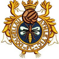 Dolgellau AAFC (@cpddolaafc) 's Twitter Profile