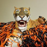 Tapp Middle School (@tappmiddle) 's Twitter Profile