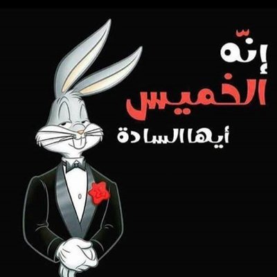 samo55daner's profile picture. 