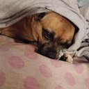 Joe Mastro - @Magicemt13 - Twitter