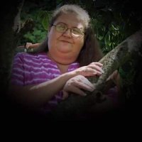 Lisa Diane King (@lisadianeking1) 's Twitter Profile