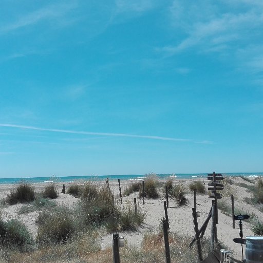 EssyP77's profile picture. 