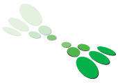 Webdesign & Hosting | Joomla | Wordpress | Internet | Marco Wientjes | Jan-Boudewijn Bunt | Consultancy | Deventer ||