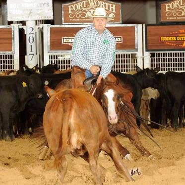 The National Cutting Horse Association governs the sport of cutting. Its mission is to celebrate the cutting horse and Western heritage.