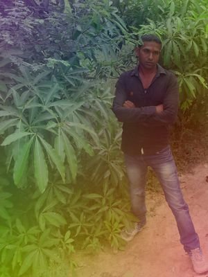 Dhirend10257894's profile picture. Teacher