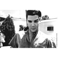 Presley World(@Presleyworld) 's Twitter Profile Photo