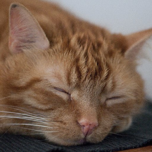 Gezumi's profile picture. Messier