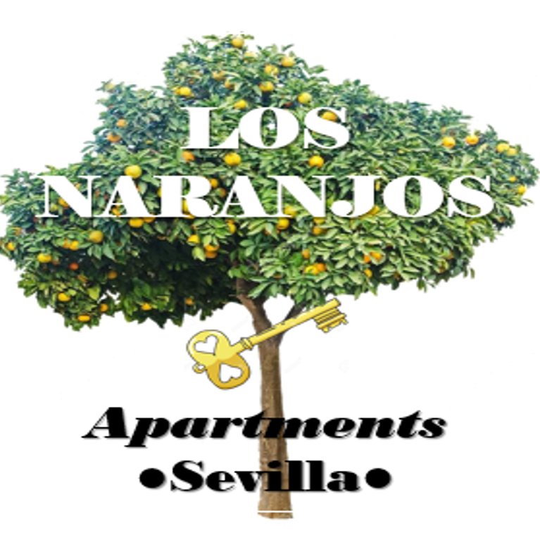 Apartamentos turísticos en el centro de Sevilla. Áticos con terraza chillout, ¡ideales para relajarte después de un largo día de turismo! +34 691 224 837