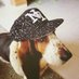 GARYHOUND (@gagahound) Twitter profile photo GARYHOUND (@gagahound) Twitter profile photo