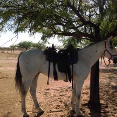 LykeDouglas's profile picture. 