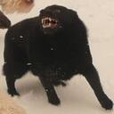 David Snowdon-Jones - @dembones - Twitter