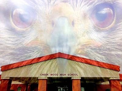 CWHSYearbk's profile picture. 