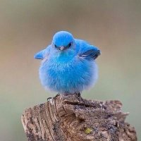 笹 (@5msb5ejxh9iey2j) Twitter profile photo