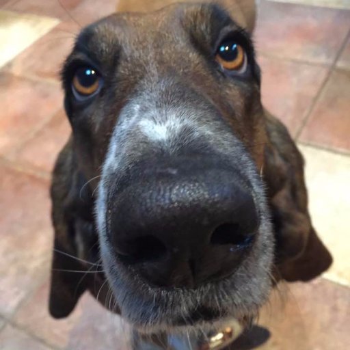 TheQualityBeard's profile picture. 