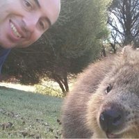 Marcello Giroletti (@mgirolet) 's Twitter Profile