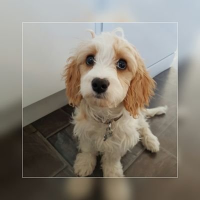 CarolynRevell12's profile picture. 