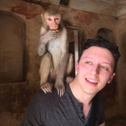 CurlyJase's profile picture. literally just rt and like memes and stuff