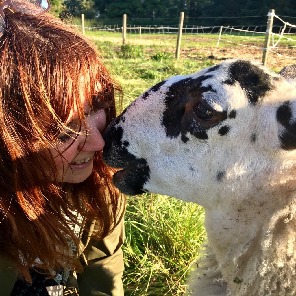 Management, Behavioural & Life Coach with a holistic twist. Lives in the depths of nowhere with too many rescue animals. Awarded Volunteer for Ukraine Medal.