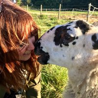Deborah Moran (@debsmoran) 's Twitter Profile
