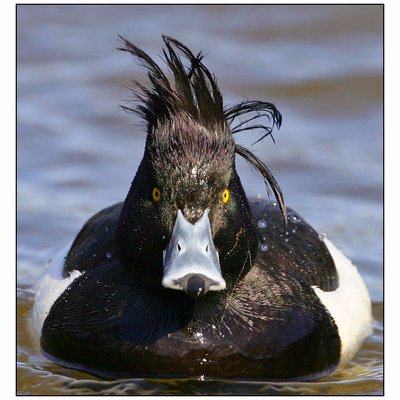 kt27grove's profile picture. 