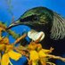 Biodiversity Group (@opbg11) Twitter profile photo Biodiversity Group (@opbg11) Twitter profile photo