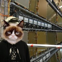 alenorr & 😔🤦🏻‍♀️ (@alenorr) 's Twitter Profile