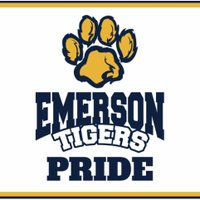 EmersonD100 (@emersond100) 's Twitter Profile