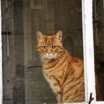 Official page of Badger the Cat. Previously of @BDCH & @wabbey I now live in the Deanery of 'the best Cathedral on planet earth'  aka Durham. Opinions my own