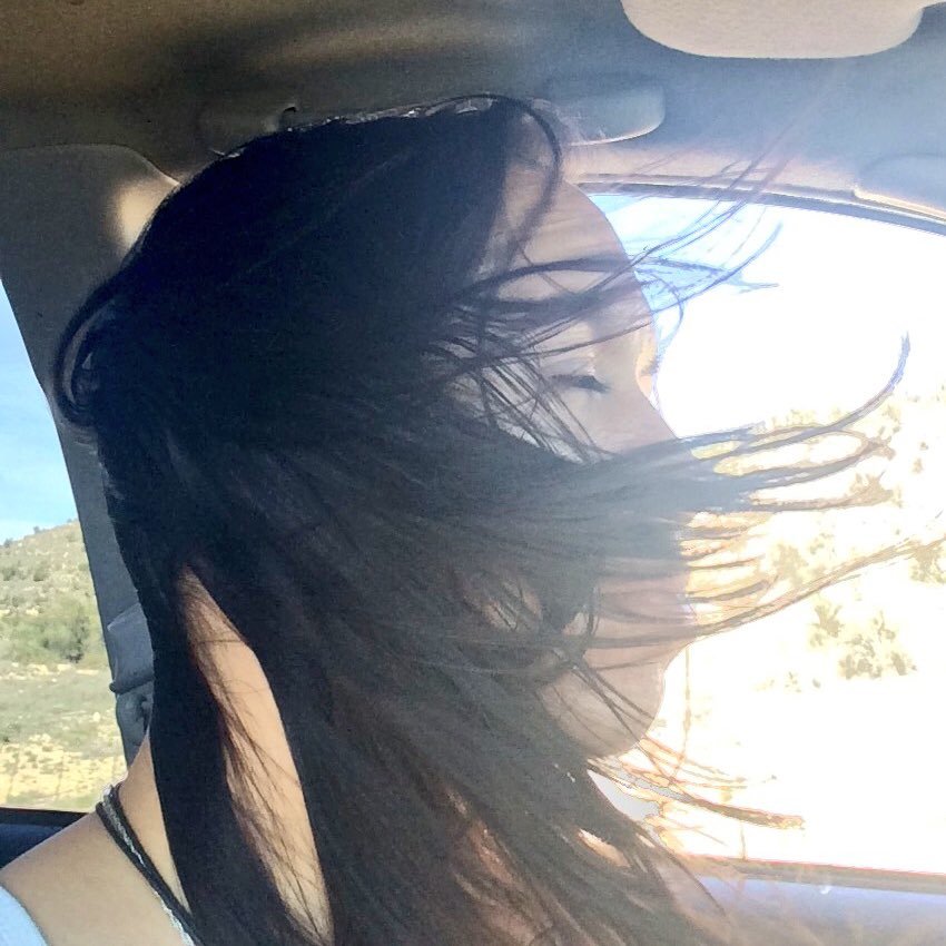 msdragnfli1006's profile picture. 