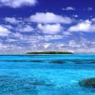 Freedomrat's profile picture. 