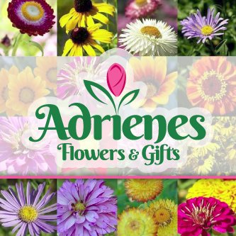 Adrienes Flowers & Gifts is located in historic downtown Noblesville, Indiana. Serving the local communities for over 36 years. We are family owned.