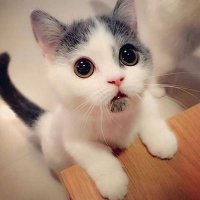 anmar (@anmar__03) 's Twitter Profile