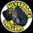 silverbackgrill