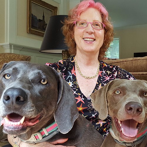 Author (The Dog Bible & The Cat Bible), host of NPR's Dog Talk® and founder/host of Tracie Hotchner Pets - Learn more at https://t.co/j6Nrm6EK0h.