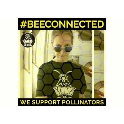 michischweizer's profile picture. 