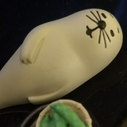 ani_y555's profile picture. 通りすがり隊