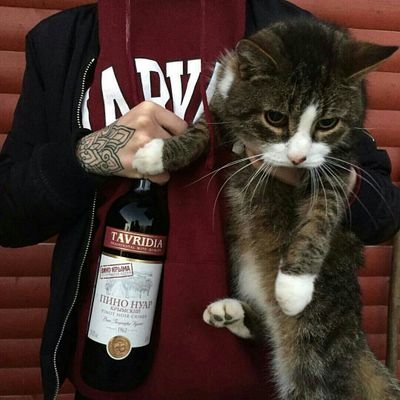 TheDiff11730027's profile picture. biraz kırgınım şu dünyaya