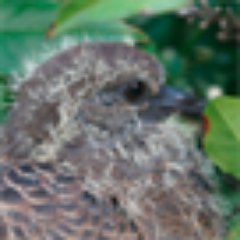 山歩きと鉄道旅、宿巡りが好きなリモートワーカー。国内はどこでも近所だと思っています。趣味でやりたいことが300年分くらいあり、時間が足りないことが悩みです。