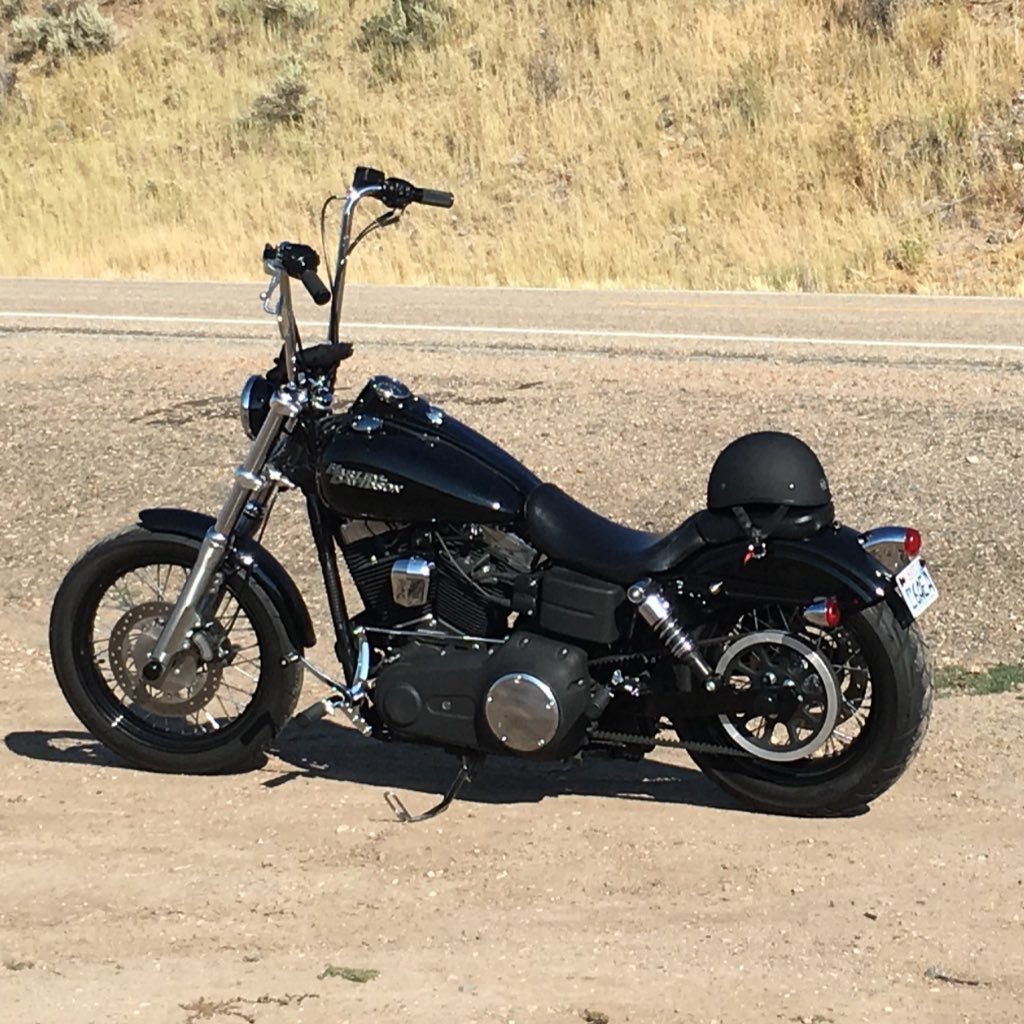 chutch5's profile picture. It changes daily!!