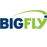 BigFly (@bigflyecommerce) 's Twitter Profile
