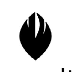 Cacao_culture's profile picture. "from our fields to your hands"