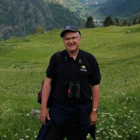 Dave Shute (@daveshutebirder) 's Twitter Profile