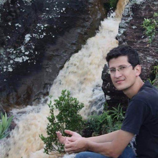 heriveltojunior's profile picture. 