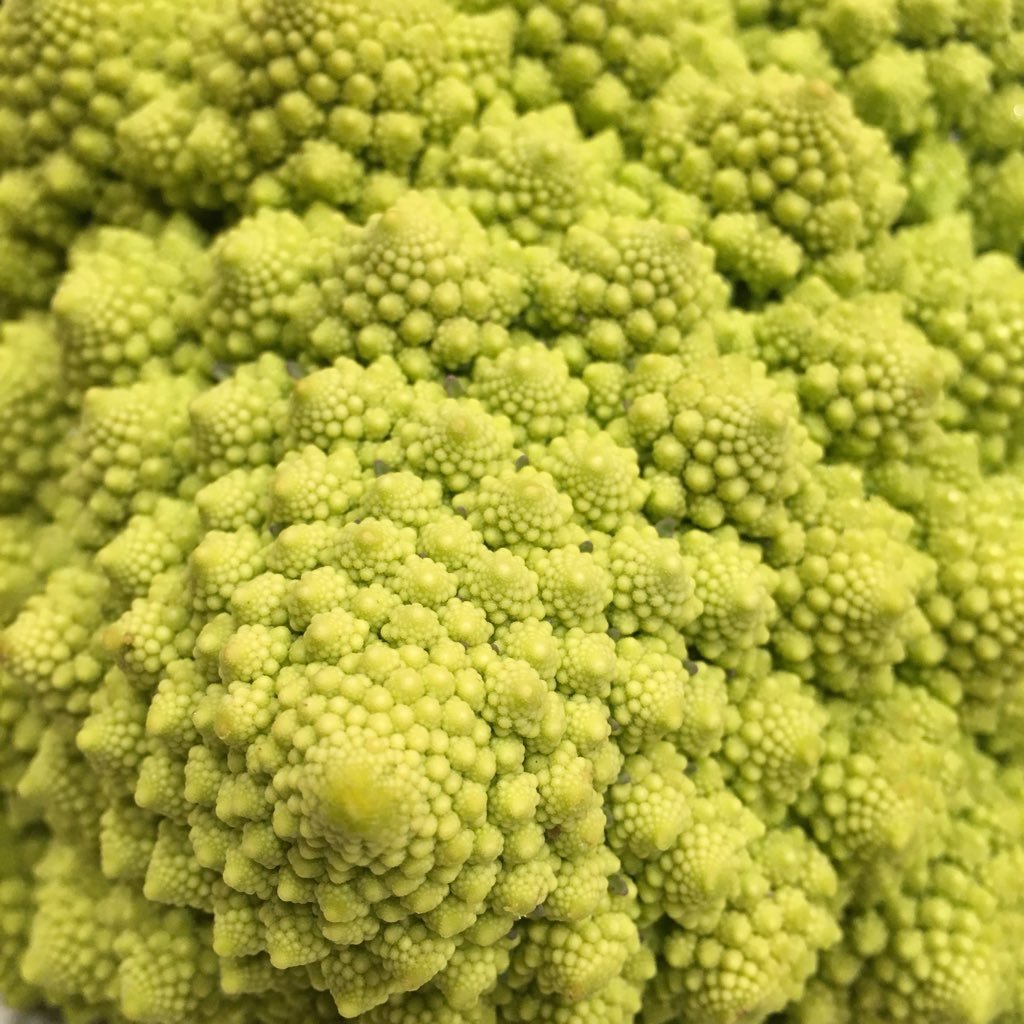 Chixxx Butterfly13 Twitter